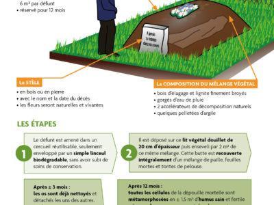 L'Humusation : Donner la vie après sa mort en régénérant la terre